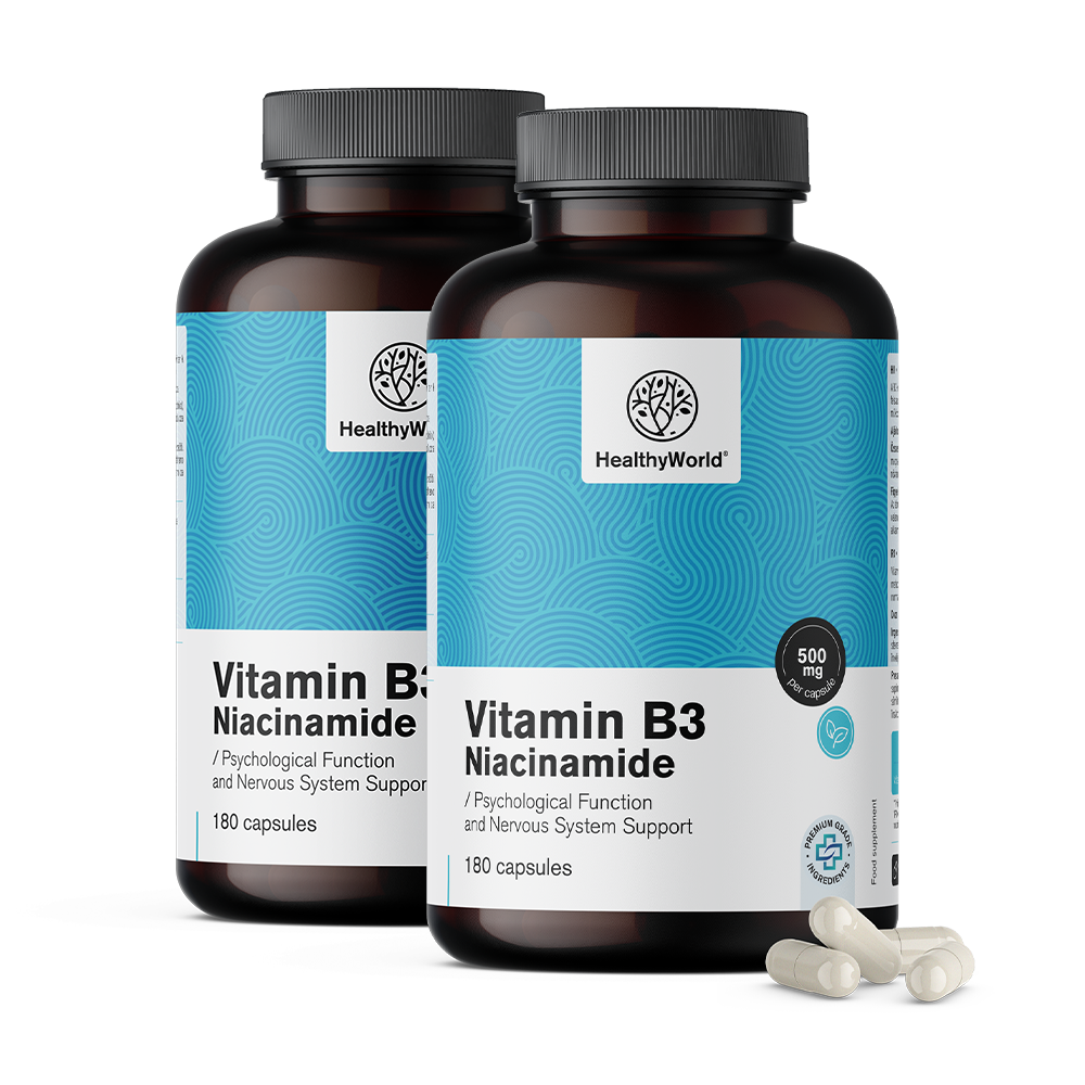 Vitamin B3 500 mg v kapsulah